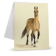 Pastellpapier