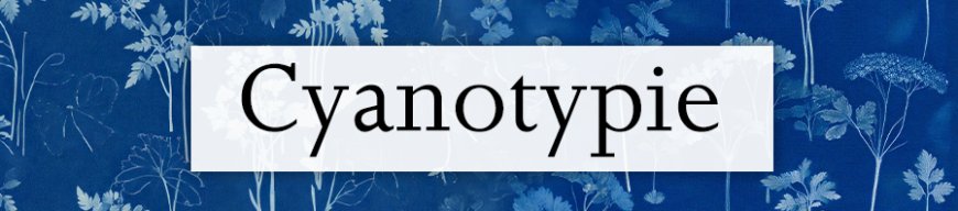Cyanotypie kaufen