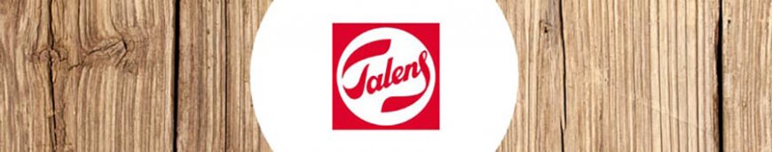 Talens Staffeleien kaufen