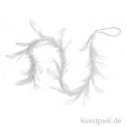 morepic-1