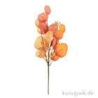 morepic-1