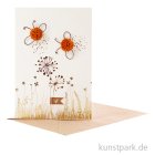 morepic-1
