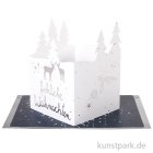 morepic-1