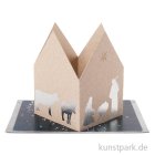 morepic-1