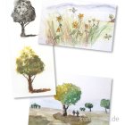 morepic-1