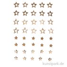 morepic-1