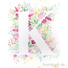 morepic-1