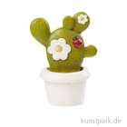morepic-1