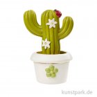 morepic-1