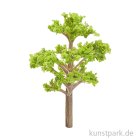 morepic-1
