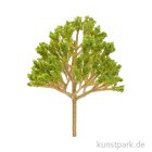 morepic-1