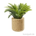 morepic-1
