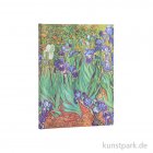 morepic-1