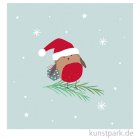 morepic-1