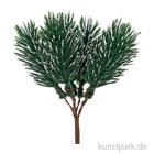 morepic-1