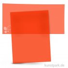 morepic-1