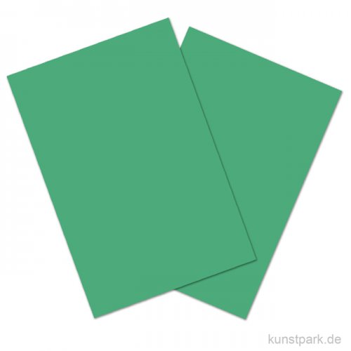 Tonkarton COLORS, 20 Blatt, 180g, DIN A4 DIN A4 | Grasgrün