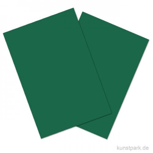 Tonkarton COLORS, 20 Blatt, 180g, DIN A4 DIN A4 | Tannengrün