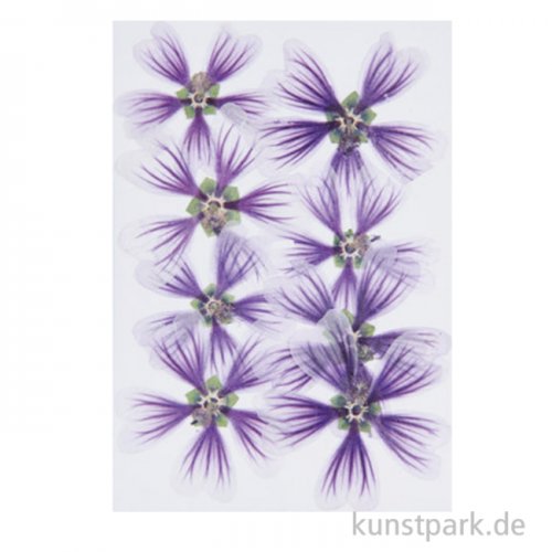 Gepresste Blüten - Stockrose Violett, 8 Stück
