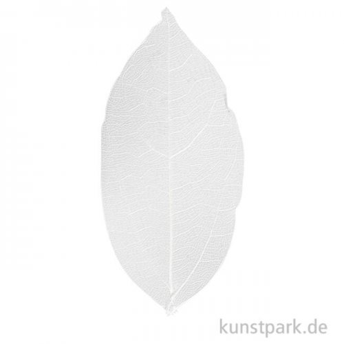 Getrocknete Laubblätter - Weiß, Länge etwa 6-8 cm, 20 Stück