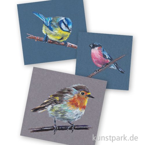 Malkurs - Vögel - kreativ und einfach - 16.05.26