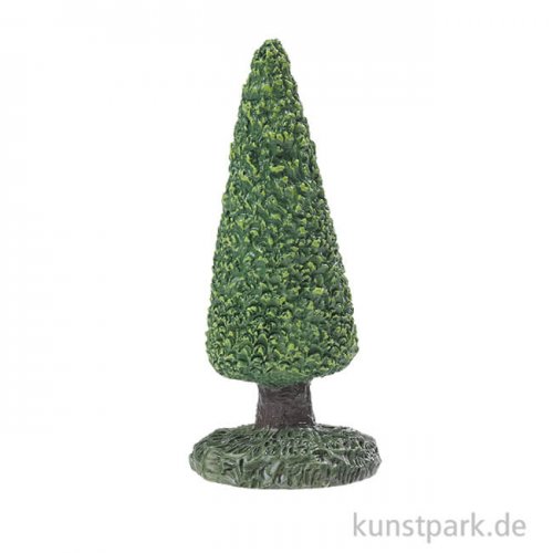 Mini Buchsbaum - Spitz, 7 cm
