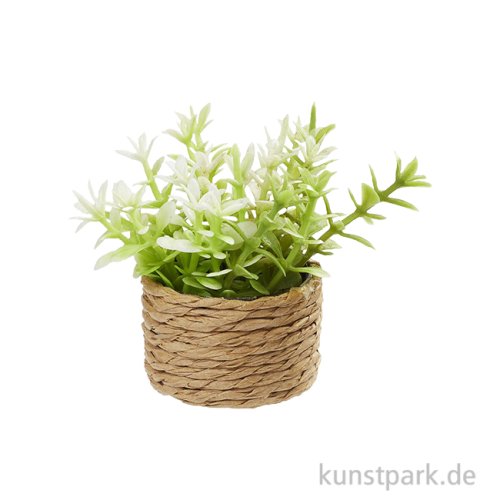 Miniatur Zimmerpflanze II, 4 cm