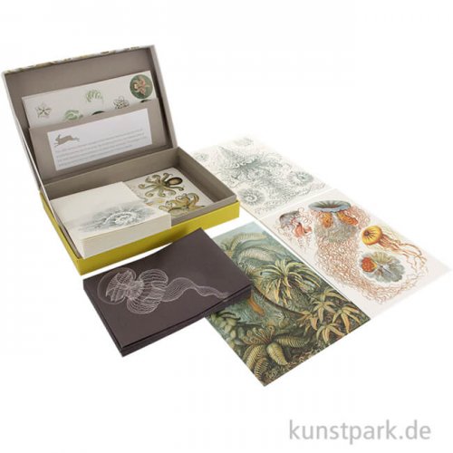 PEPIN Briefpapier Set - Art Forms in Nature