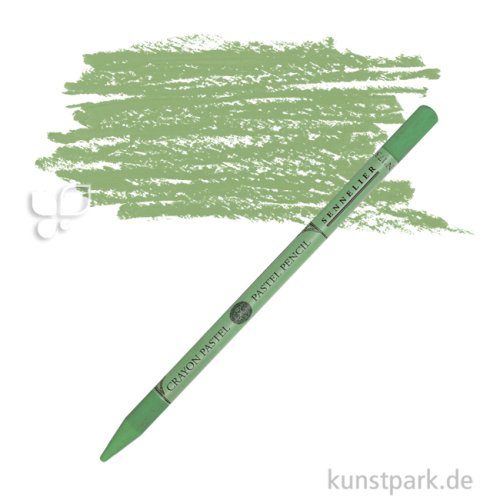 Sennelier Pastellstift - Pastel Pencil Farbe | Moosgraugrün