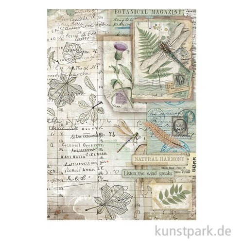 Stamperia Reispapier - Herbarium Silvae Botanic, DIN A4