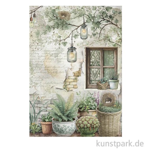 Stamperia Reispapier - Herbarium Silvae Window, DIN A4