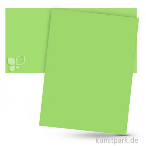 Tonpapier DIN A4, 100 Blatt, 130g Farbe | Hellgrün