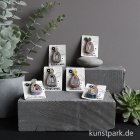 morepic-2
