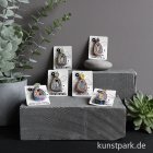 morepic-2