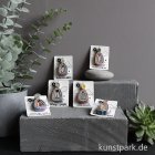 morepic-2