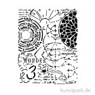 morepic-2