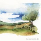 morepic-3