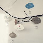 morepic-3