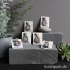 morepic-3