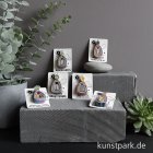 morepic-3