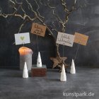 morepic-3