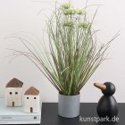 morepic-3