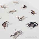 morepic-3