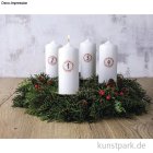 morepic-3