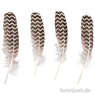 Dekofeder mit Glitterdruck, 17 - 19 cm, 4 Stück Silber