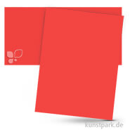 Fotokarton 50x70 cm, 10 Bogen, 300g Farbe | Hibiscus