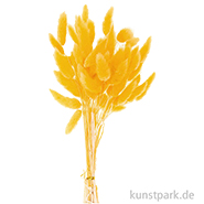 Getrockneter Lagurus, 50 Stück Bund | Gelb