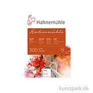 Hahnemühle Echt Bütten Aquarellpapier, 10 Blatt, 300g rau 36 x 48 cm