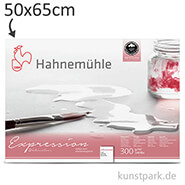 Hahnemühle EXPRESSION Aquarellpapier, 10 Einzelblatt, 300g - matt 50 x 65 cm