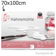 Hahnemühle EXPRESSION Aquarellpapier, 10 Einzelblatt, 300g - matt 70 x 100 cm